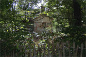 Old brick generator station covered in ivy and graffitti and looking sinister