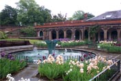 Ornamental pool surrounded by peach and purpel irises